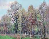 0Alvydas Stauskas. Medžiai pavasarį. 2016, drobė, aliejus, 40x50 