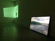 M. Marcelionytė-Paliukė. Video instaliacijos fragmentas personalinėje parodoje „Ryšiai. Mikorizė“. Galerija Akademija, Vilnius (2019)