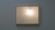 the life of the insects,  53,5x43,5x7cm, oil, plexiglass, LED lamp, 2020