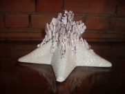 Irena Petravičienė
Jūros žvaigždė, h 20 cm, porcelianas, 2009